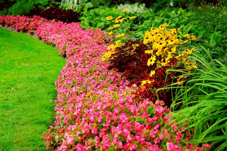 Flower bed maintenance